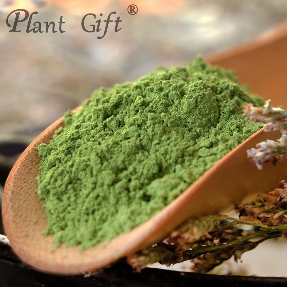 Plant Gift 100% Pur Poudre de Feuilles de Mûrier 桑叶粉, Pour Boissons 100g/3.25oz