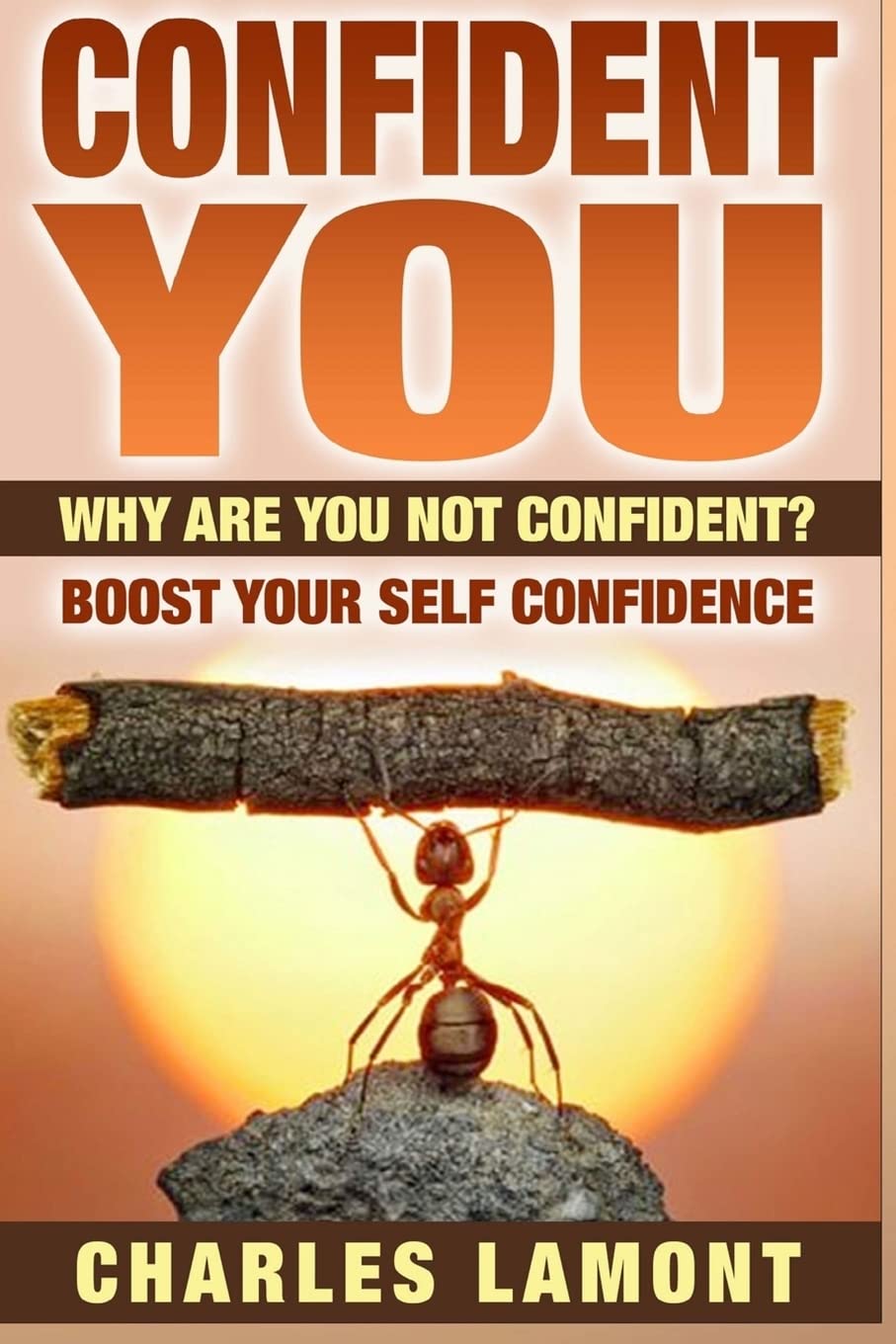 Confident You Why Are You Not Confident? Boost Your Self Confidence 9781515214328