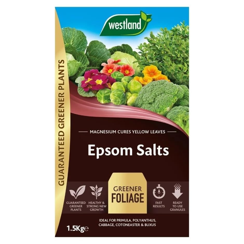 Westland Epsom Salts 1.5kg, Magnesium Plant Feed for Tomatoes, Brassicas & Garden Plants, Ready-to-Use Granules