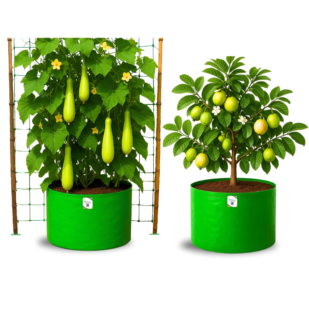 Big Fruit Plant Grow Bags - Organic Bazar (Pack of 2) -13 Big Fruit Plant Grow Bags - Organic Bazar (Pack of 2) -13