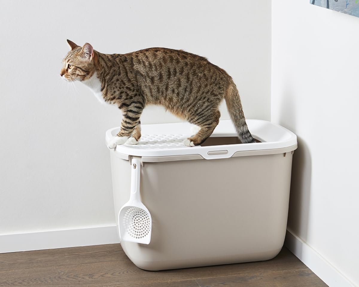 SAVIC Katzentoilette Hop In mit Einstieg von oben beige-weiss