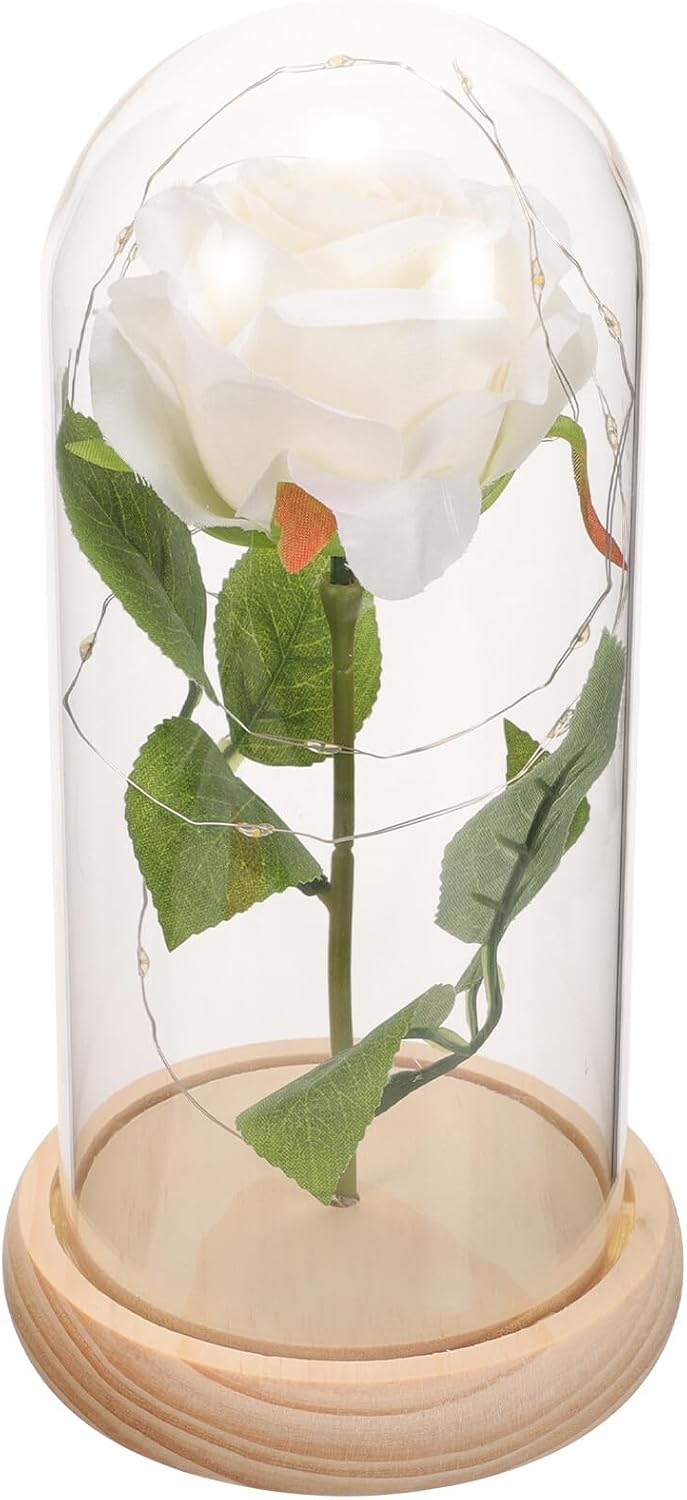 Preserved Rose Dome Eternal Flower Decoration White Rose with Light Base Valentines Day Home Décor Romantic Floral Ornament