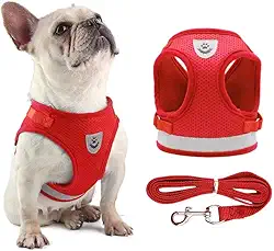 Coleira Peitoral para Cachorros e Gatos com Colete Reflexivo Regulável e Guia de Passeio (Vermelho, M)