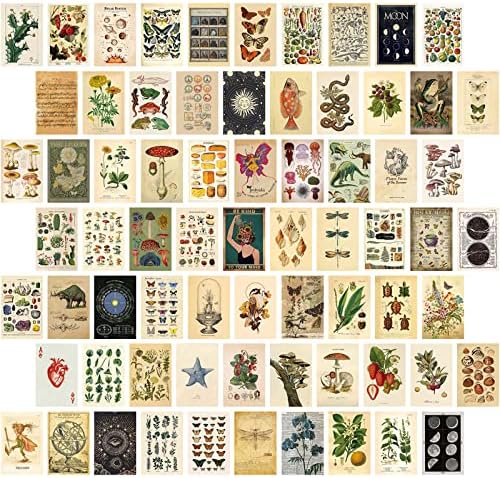 JOFAMY Vintage Wall Collage Kit, Cottagecore Room Decor, Posters ...