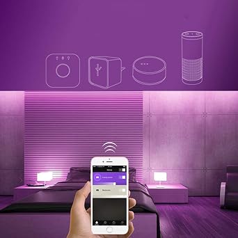 Zigbee Controller Smart WWCW Controller LED Strip Light Controller Work with Amazon Echo Plus for DC12-24V LED Strip Lights (Dual White Controller)