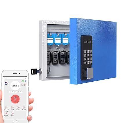 WeHere Key Box (16 Keys) with OTP(One-Time Password) Unlock, App Remotely Generates Pin Codes Without Internet,Metal Key Lock Box Wall Mount for Outside, Password/Bluetooth Unlock