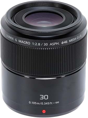 Amazon.com: Panasonic LUMIX G Macro Lens, 30MM, F2.8 ASPH
