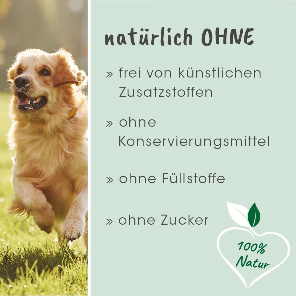 cdVet Magenschutz 60g - Pulver zur Förderung der Gesundheit von Magen und Darm für Hunde und Katzen