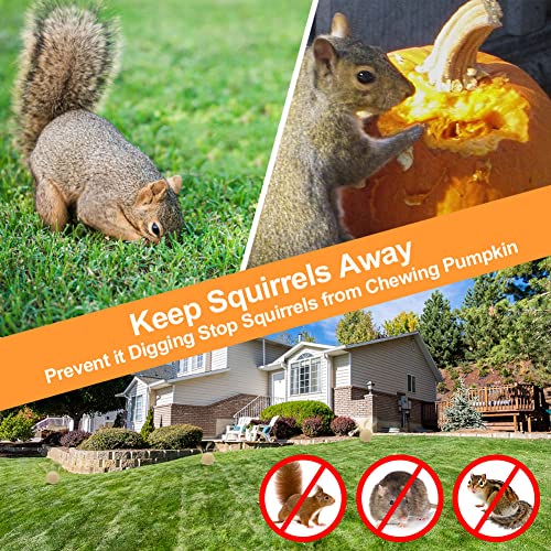 Anewnice Squirrel Repellent Outdoor, Rodent Repellent, Squirrel Repellent For Attic And Cars, Ultra Powerful Chipmunk Repellent - 12Packs #TOP2