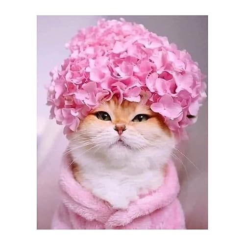 Cute Kitty Flower Hat 8 x 10"s Print Wall Art- Ready to Frame- Home Decor, Bedroom & Modern Wall Prints for Animal & Feline Theme Wall Decor. Fun