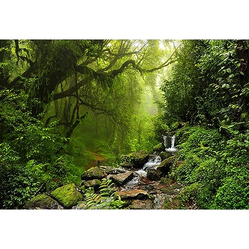 YongFoto 3x2m Toile de Fond Forêt Tropicale de Jungle Rivière Eau limpide Pierres moussues Fond Décors Studio Photo Video Fete Photobooth Photographie Props