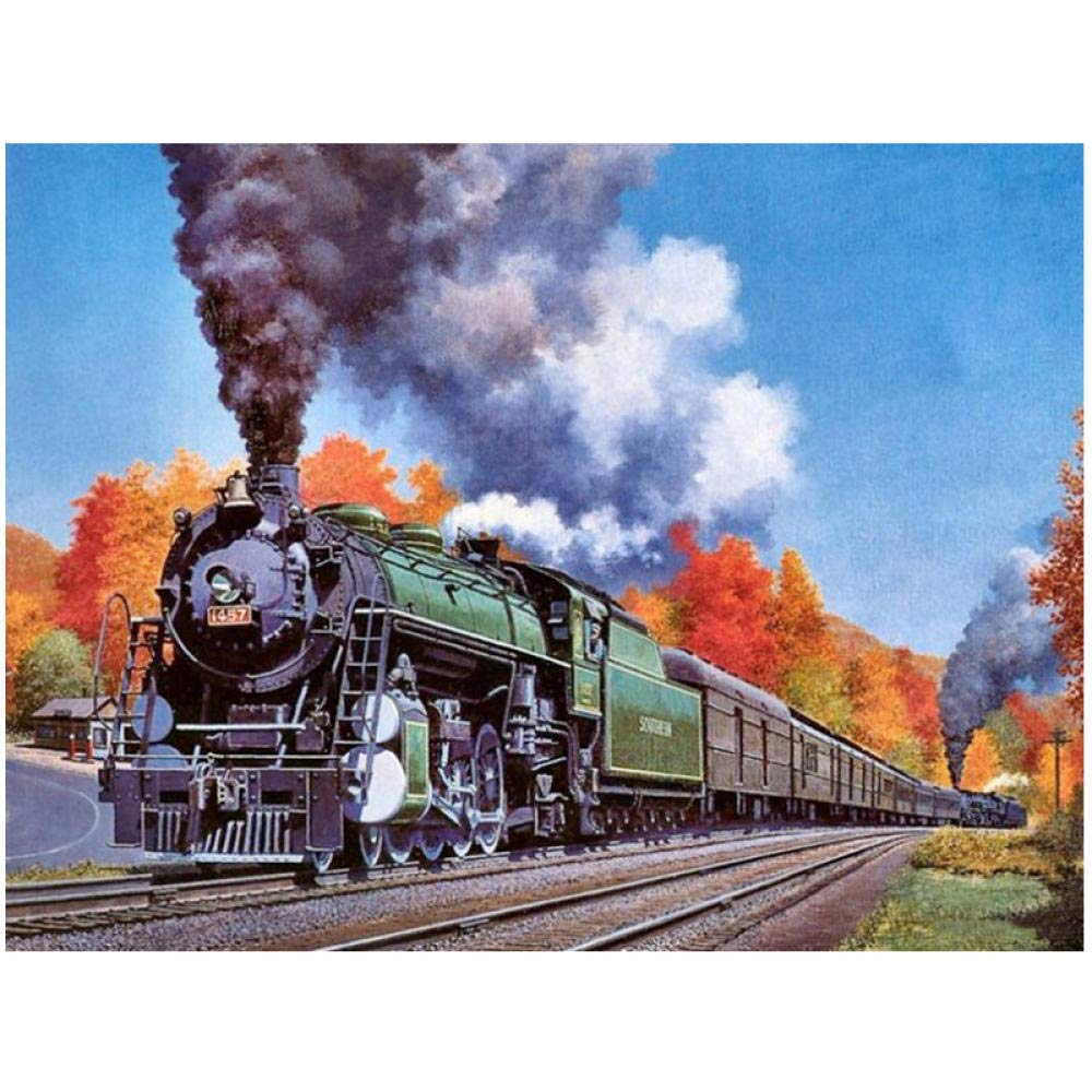 Paint By Numbers For Adults Train Diy Oil Painting Kit Arts Craft For Home Wall Decor-16" W X 20" L (Without Frame)