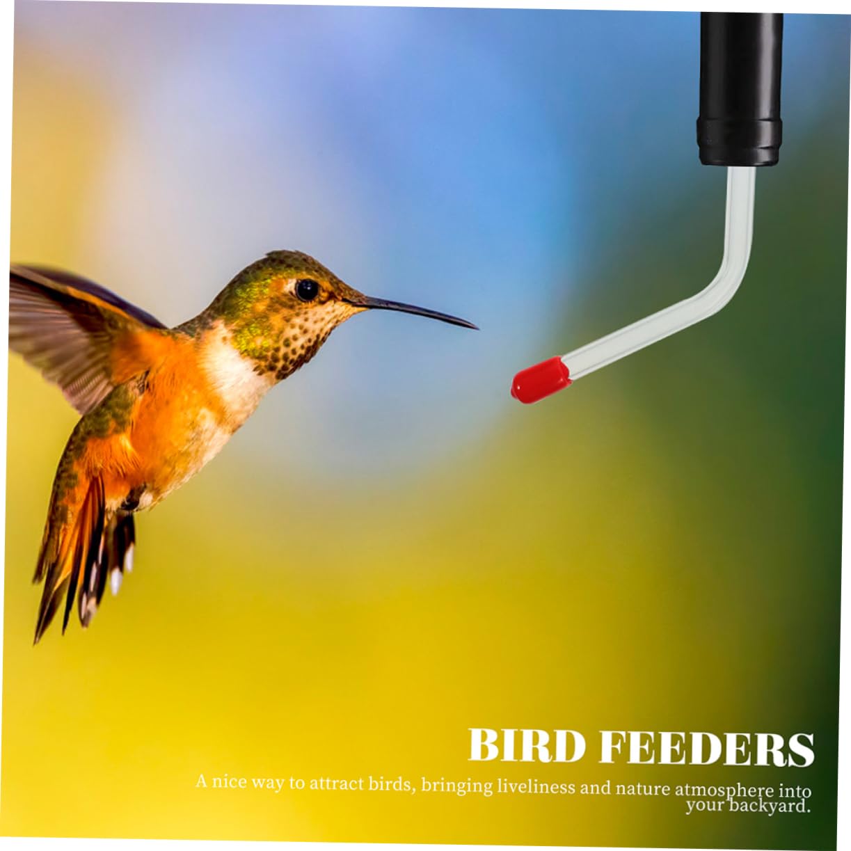 UPKOCH 5 Ensembles Mangeoire À Colibris D'Extérieur pour Oiseaux Tube d'alimentation pour Colibris Mangeoire À Eau pour s À Tube pour s 3 pièces * 5