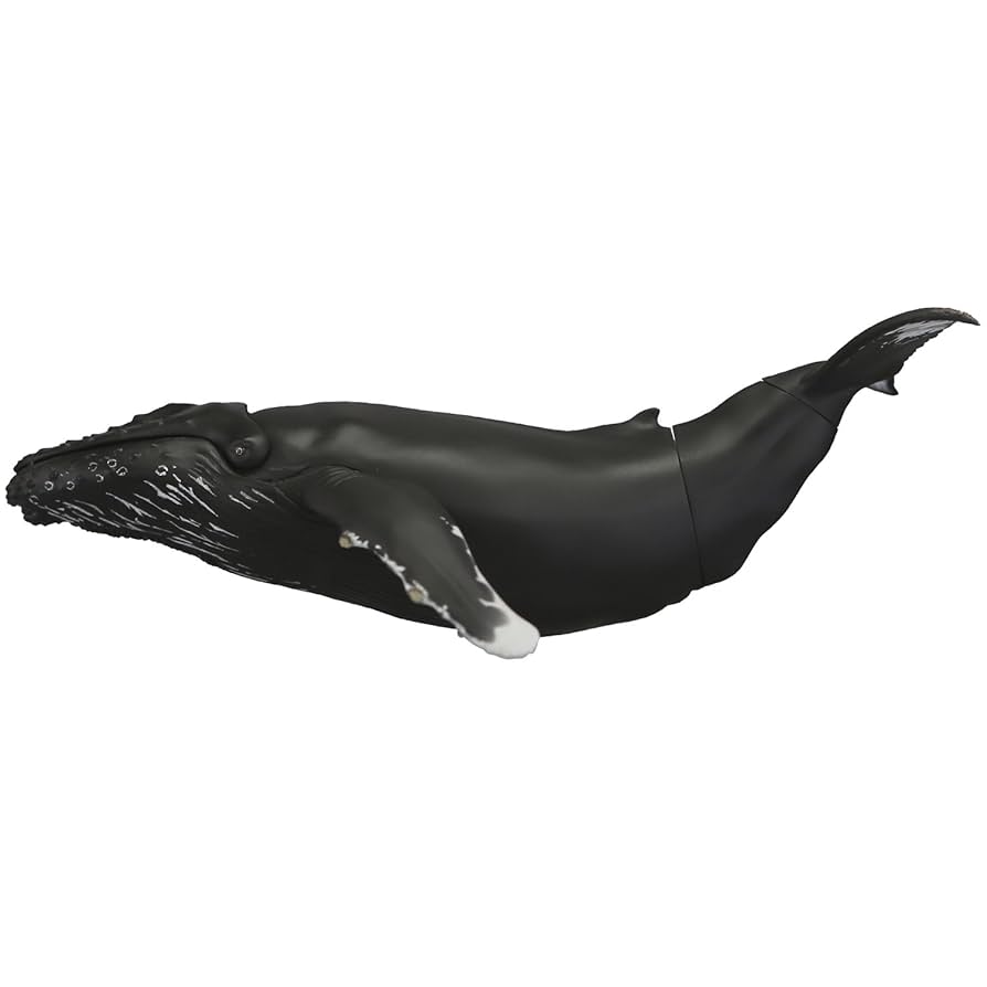 ソフビトイボックス013 クジラ ザトウクジラ ノンスケール ソフトビニール製 塗装済み 可動フィギュア Amazon.co.jp: ソフビトイボックス013 クジラ ザトウクジラ ノン