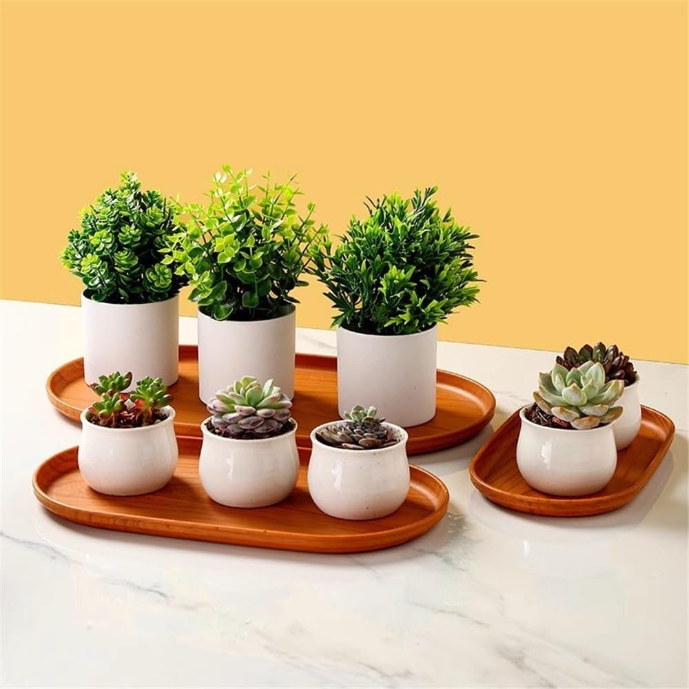 その他 Wood Drip Tray PROLOG Wood Drip Tray PROLOG x TARPtoTARP