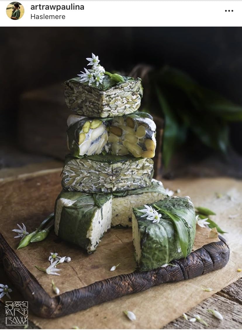 Tempehtation Cultivo Iniciador de Tempeh Orgánico, Sin Gluten Probado en Laboratorio, Hecho en Escocia, 70 Gramos