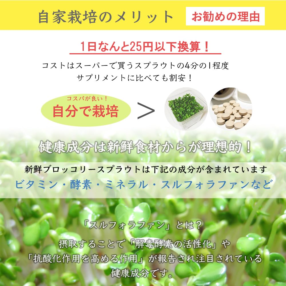 種子10袋セットスルフォラファン見分け方