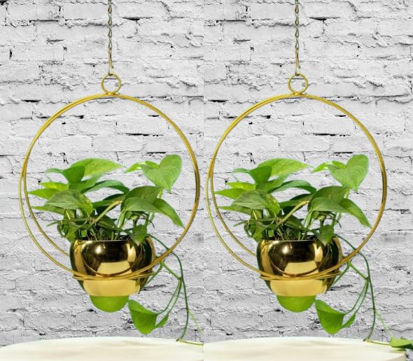 TAJ INDIA HANDICRAFTS Metal Hanging Flower Pot (Pack of 2 Pcs) with Hanging Chain for Hanging & Decoration of Flowers with Gold Powder Coated Color Flower Pot Home & Garden Decoration (B0D9NL4DB1) Amazon Price History, Amazon Price Tracker