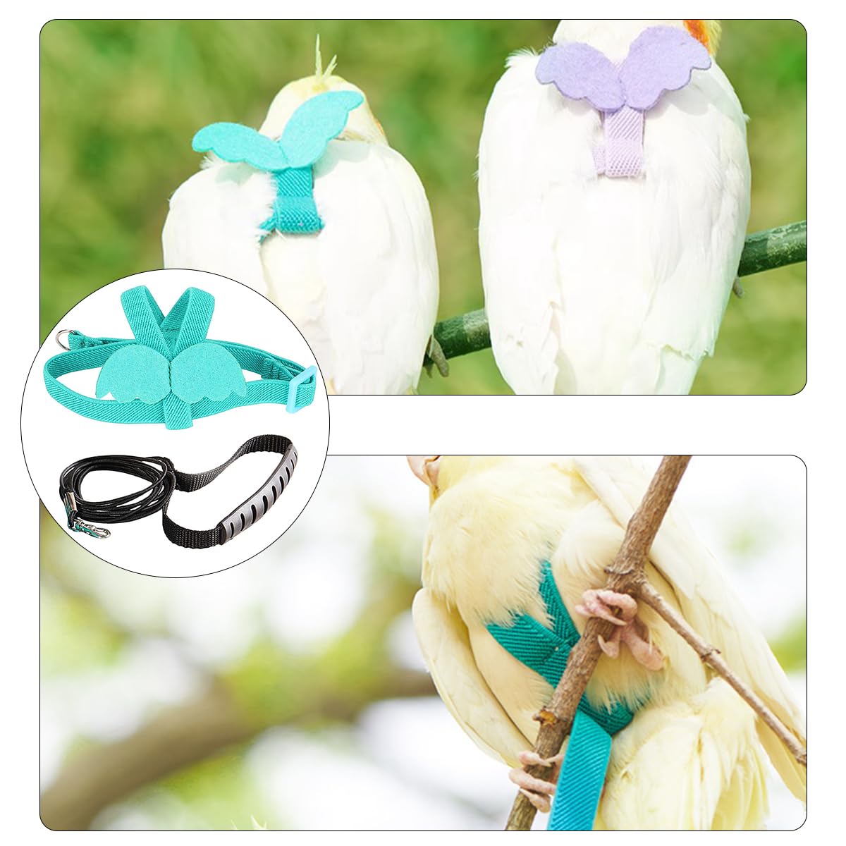 1 Ensemble de Corde d'entraînement au vol pour Oiseaux en Plein air, kit de Harnais et de Laisse pour Oiseaux, Harnais réglable pour Animaux de Compagnie (Bleu Clair)