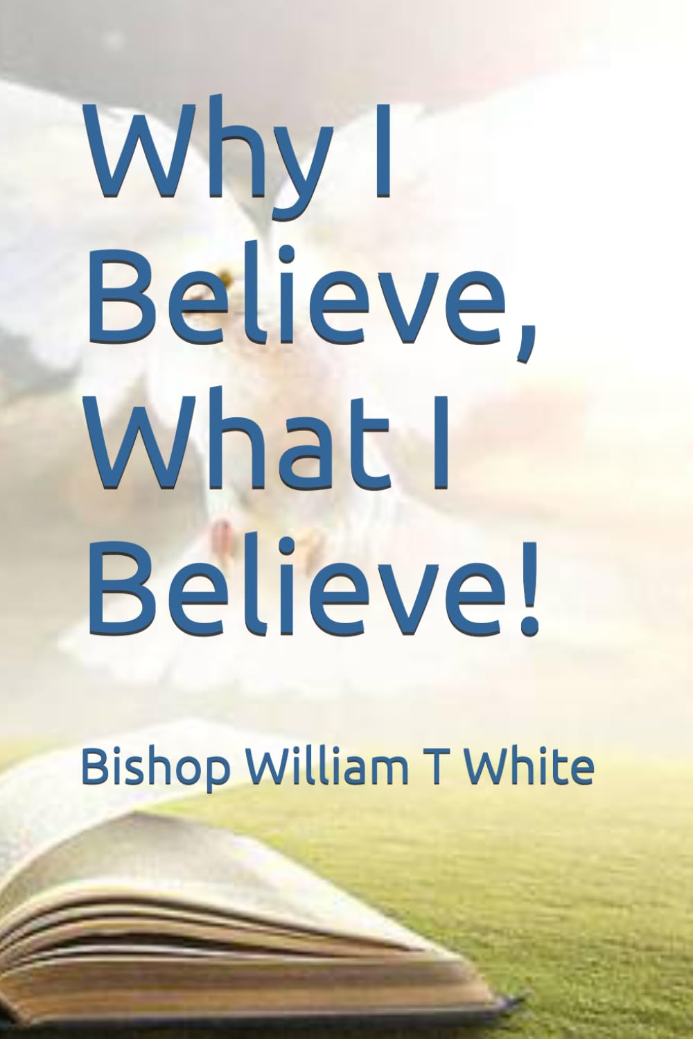 Why I Believe What I Believe!