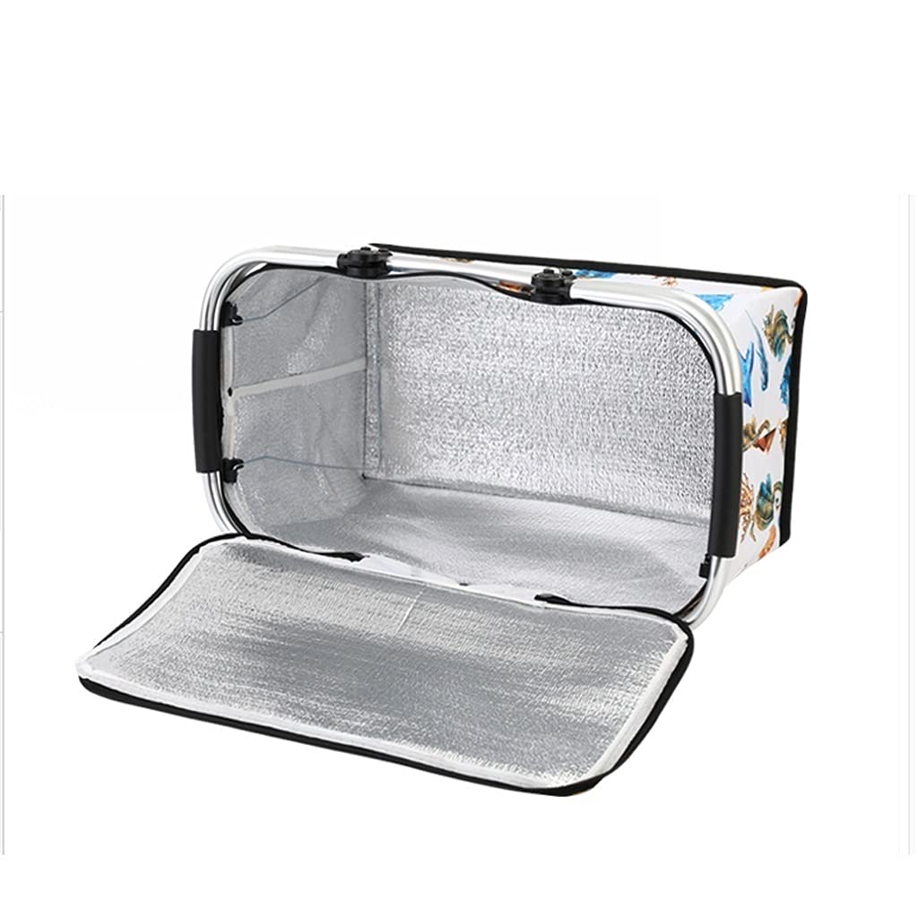 Ilated - Cestino pieghevole da 30 l, in tessuto di bue, portatile, per esterni, con alluminio, perfetto per barbecue in famiglia e gite in spiaggia (colore: B)