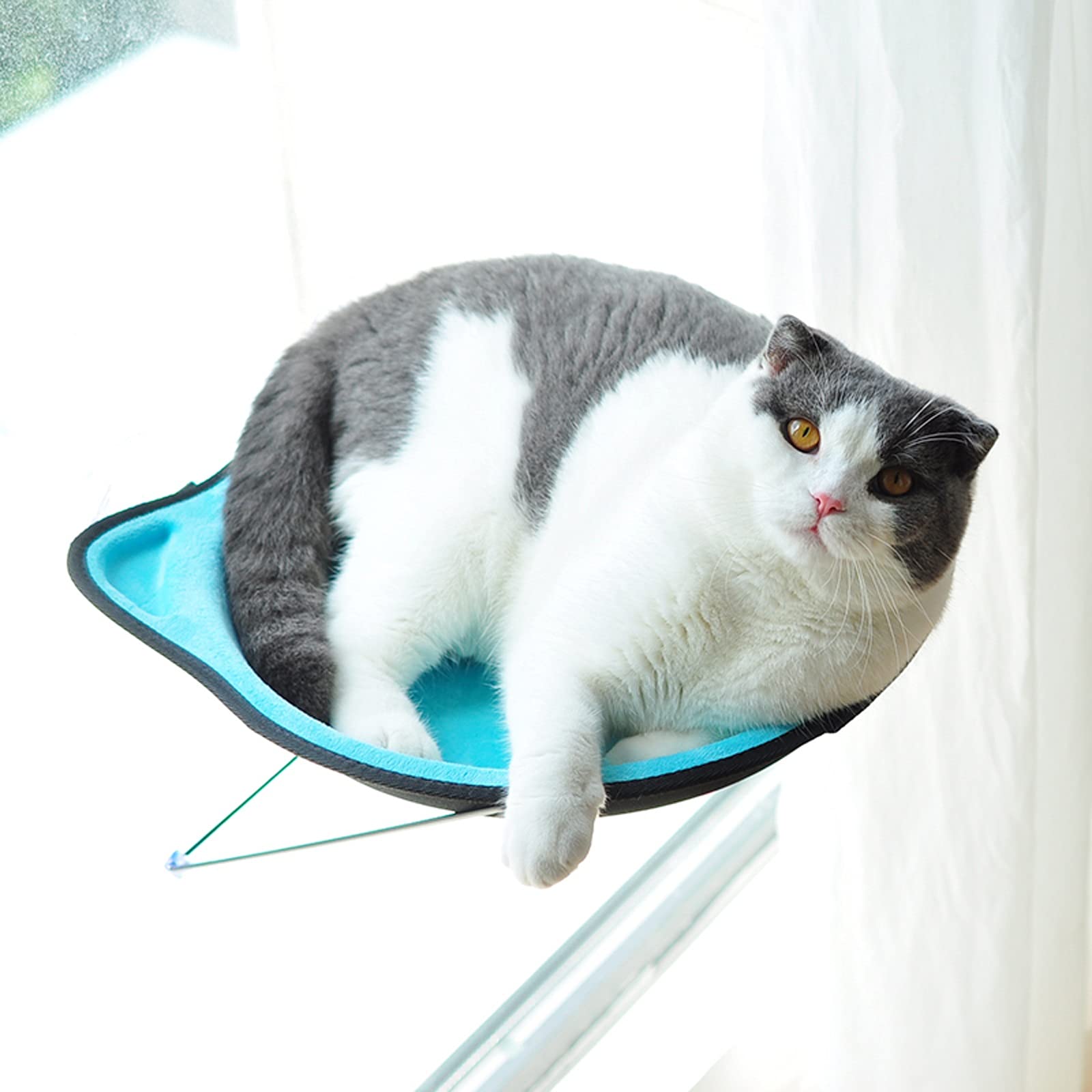 Hamac Chat/Perchoir à Chat Lit de la fenêtre de Chat, Chat hamac siège de fenêtre, Espace Chat monté sur fenêtre for Chat d'intérieur jusqu'à 38 LB Hamac pour Animaux