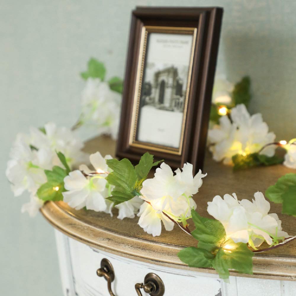View 4