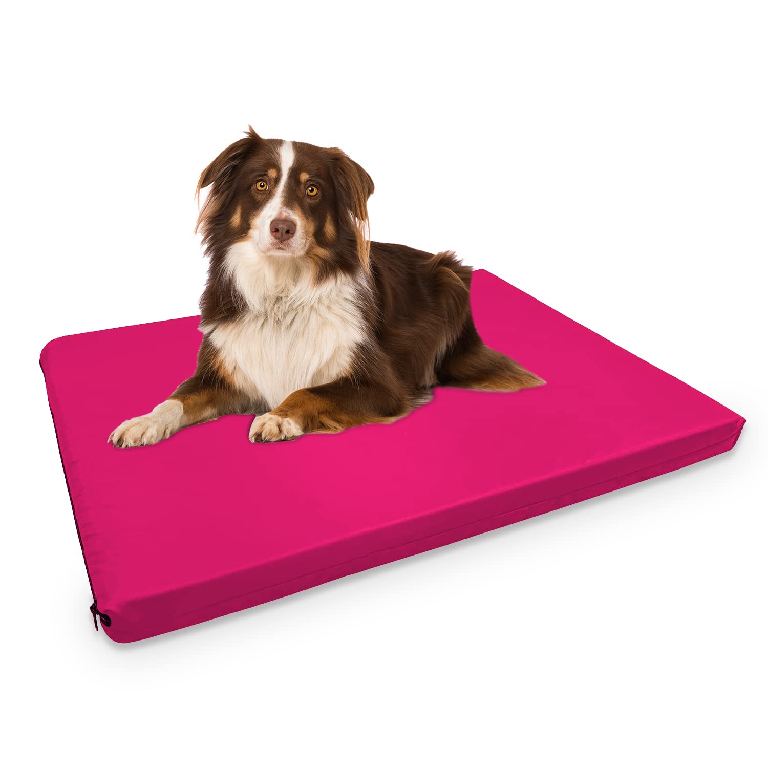 Brillars Dog Bed Pet Mattress Cooling Gel Mat Pad, Crate Mats Non-Slip Puppy Sleep Thick Indoor Dogs Cat Kitten Beds Removable Cover Small/Medium/Large/XL (Pink, Extra-Large)