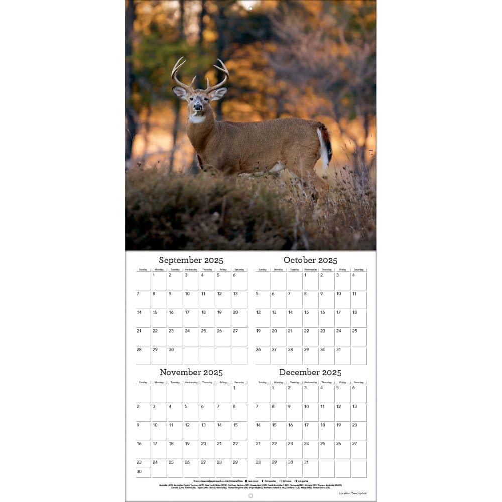 TURNER PHOTOGRAPHIC Calendario de pared con fotos de ciervo de cola blanca de 12 x 12 pulgadas (26998940059)