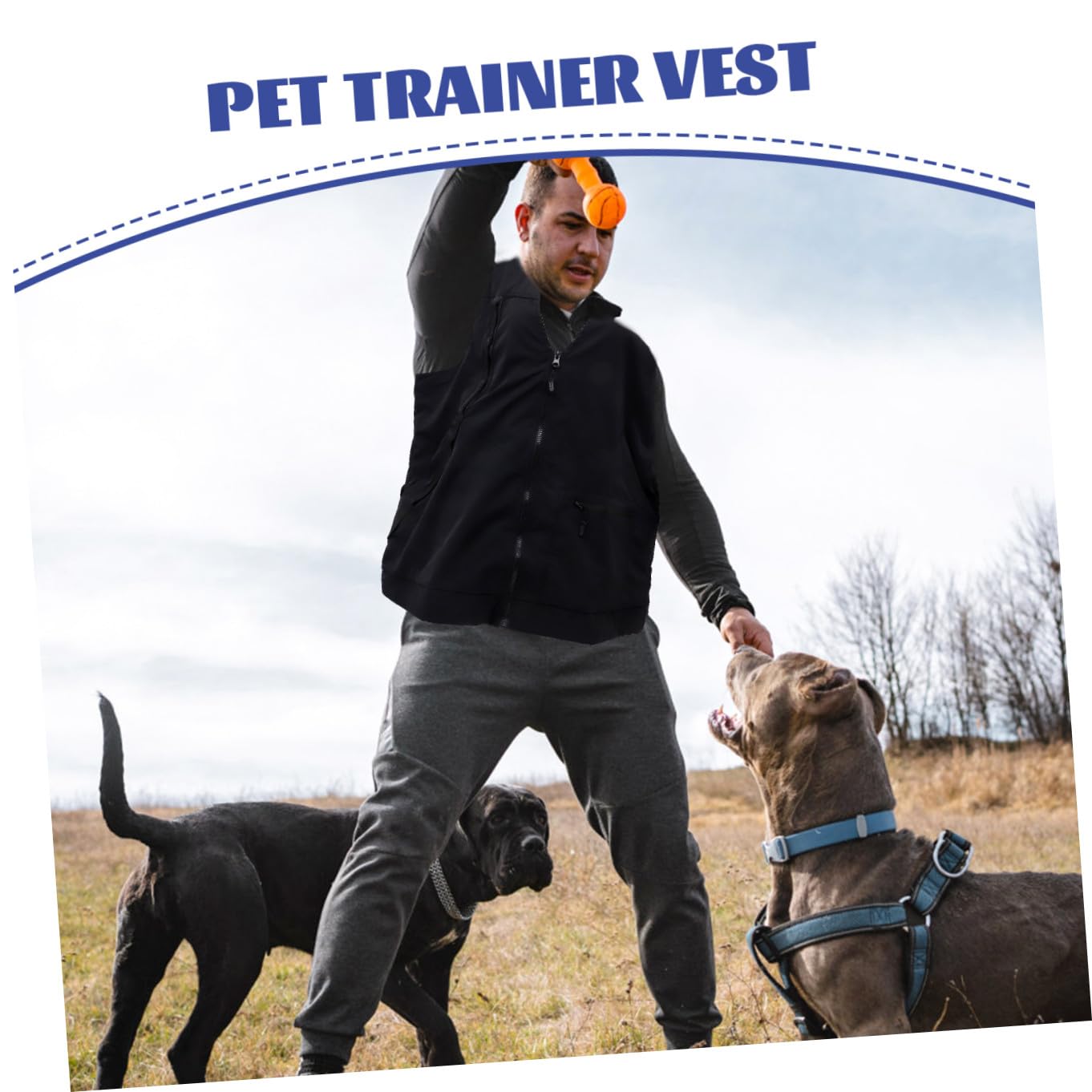 Gilet D'obéissance pour Chien Noir, Léger et Imperméable en Polyester-Mesh