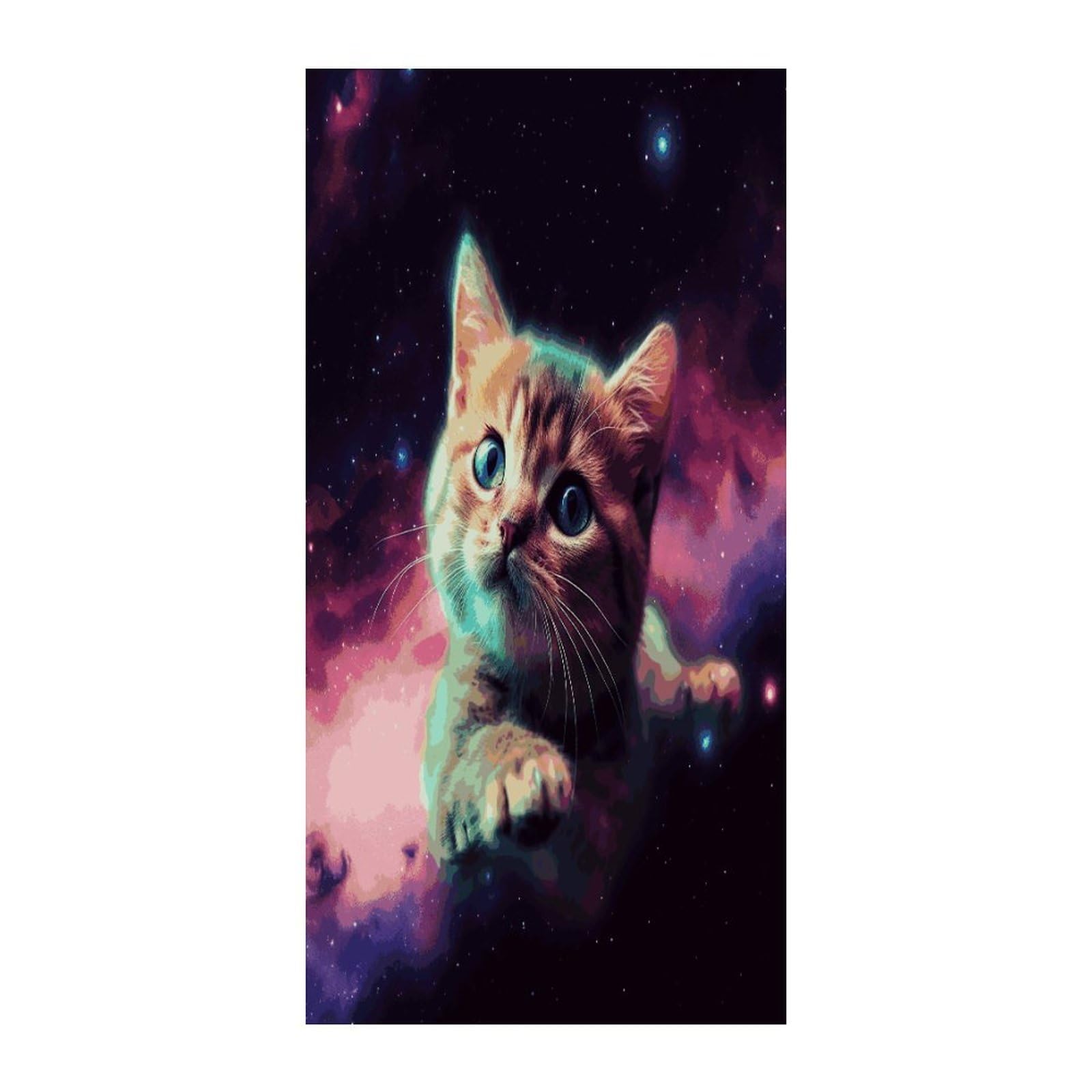 Fekiloot Style Galaxy Cat Baby Door Curtain Room Divider Curtains
