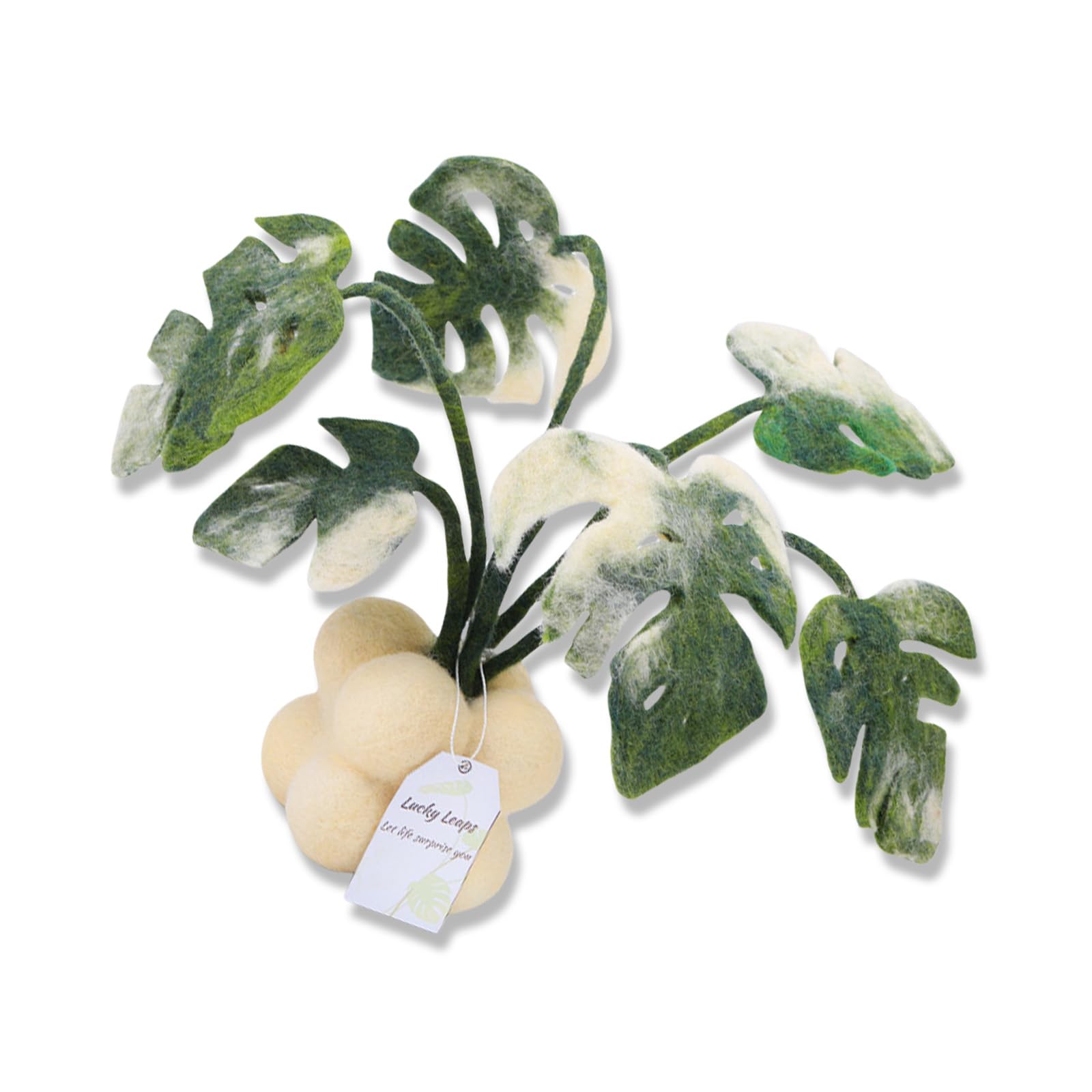 Yhplxyuus Needle Felting Supplies with Instruction for Beginner Monstera Potted Plant Needle Felting Set Wool Supplies Wool Felt