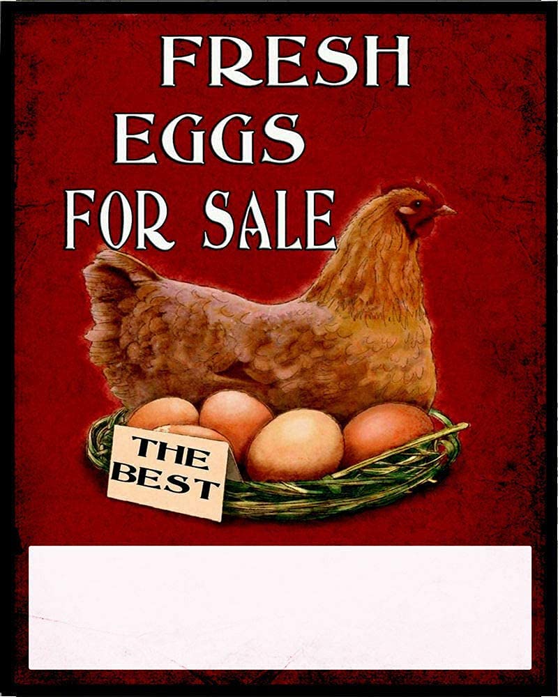 Rifosa A14 12"X8" Fresh Eggs For Sale Red Vintage Metal Sign