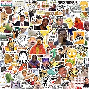 306pcs Funny Meme Vinyl Stickers Pack, Large Bulk Sticker for Laptop, Phone, Water Bottles, Computer… Vine Sticker Decal DIY Décor for Bumper Wall