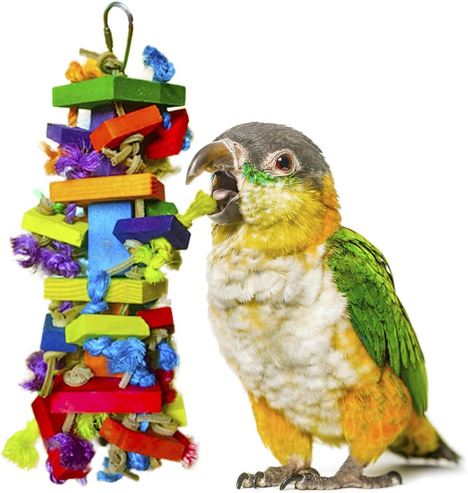 SunGrow Parrot Block Toy for Parakeet, Cockatiel, Bird Multicolored Wooden Chew Blocks with Cotton Rope