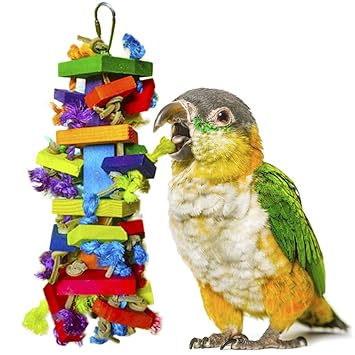 SunGrow Block Toy for Bird, 9-inches Tall 4-inches Wide, for Physical and Psychological Stimulation, Nibbling Keeps Beaks Trimmed, Preening Keeps Feathers Clean, Multicolored Wooden Blocks