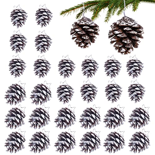 30 pièces Pomme de pin Noel decoration,Cônes de pin de Noël avec lanière, pommes de pin de deux tailles (3-4cm 15pcs, 5-6cm 15pcs) pour les arbres de Noël d'hiver, les fêtes, le bricolage, l'artisanat Cover