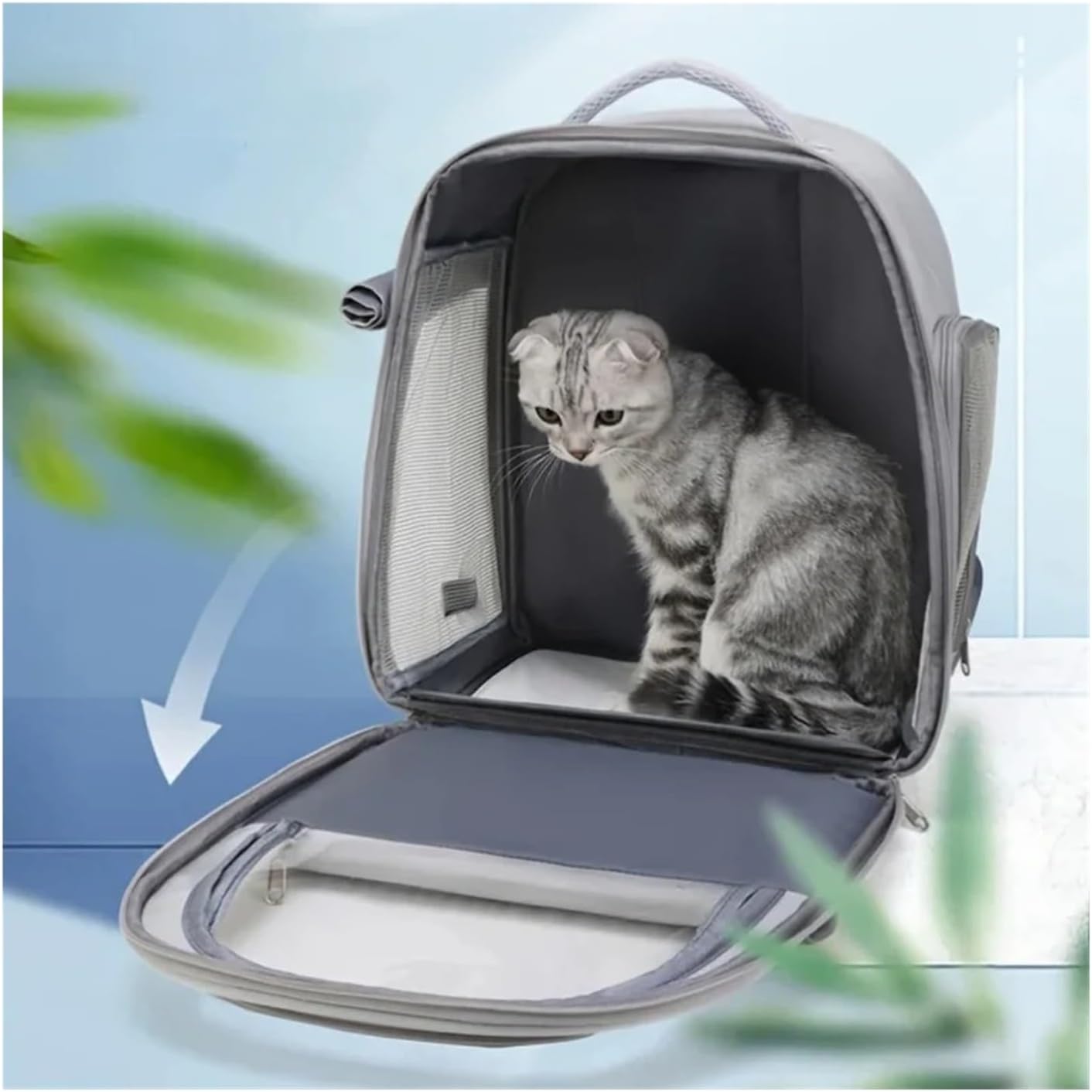 Pet Backpack, Carrying Bag Pet Cat Dog Outdoor Transparent Capsule Breathable(Black)