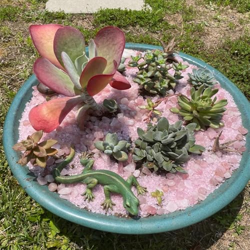 Image of 1lb Rose Quartz Crystals, Vase Filler Stones, Pink Crushed Rose Quartz Chips, Decorative Marbles for Vases, Pebbles for Indoor Plants, Gravel for Fish Tank Aquarium