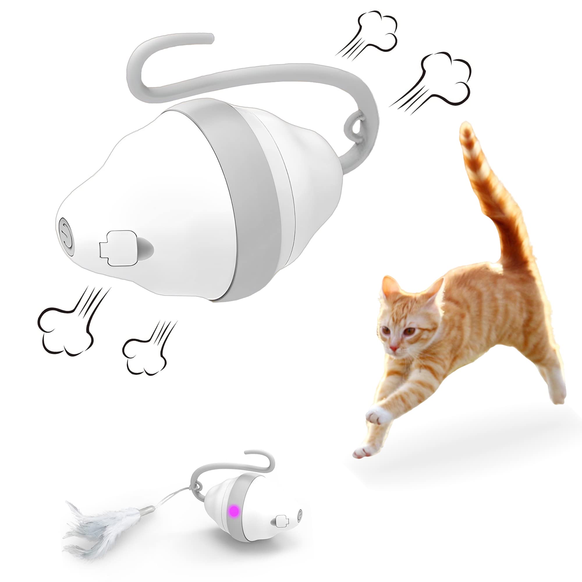 Found Notice Interactive Cat Toy - N in 1 Automatic Moving Ball with LED Lights, Mice Feather Toys for Cats/Puppies, Two Speeds, and USB Rechargeable (Grey)