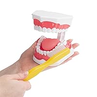 Vista 2 de Practicon Modelo de higiene dental con lengua móvil, modelo de dientes de demostración de tamaño real 2X, para enseñar a cepillar, usar hilo dental