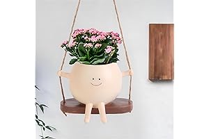 Faces at Your Fingertips: Enchanting Resin Flower Pot Hangers Swinging with Charm