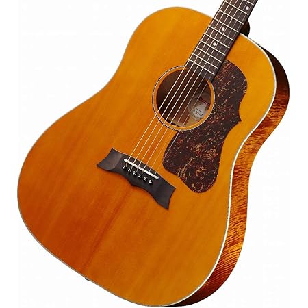 Amazon Morris G 021 Vyl モーリス アコースティックギター ヴィンテージイエロー Vyl アコースティックギター 楽器