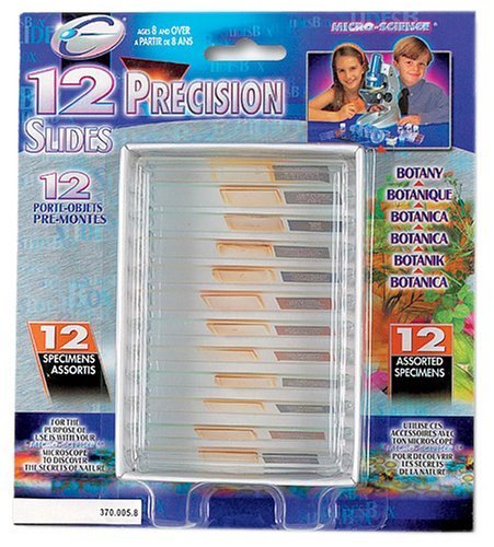 Idee+Spiel 376 01031 - Objektträger für Mikroskope