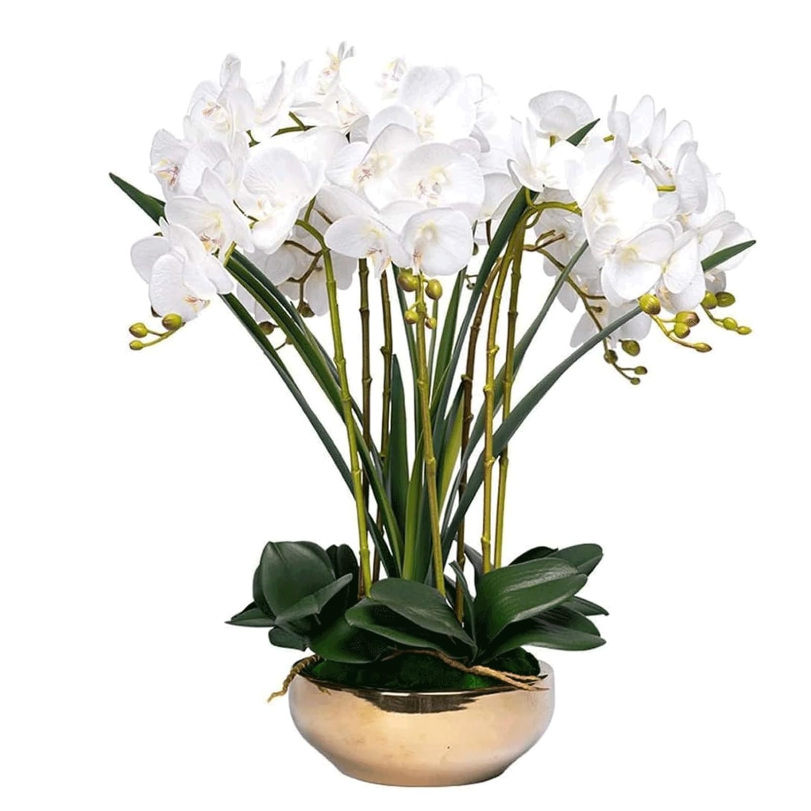 MYUYEE Artificial Phalaenopsis Flowers In Pot - 8 Branches Faux Orchid Flowers With Ceramic Vase For Wedding Living Room Bedroom Arrangement Table Centerpiece(Wei?)
