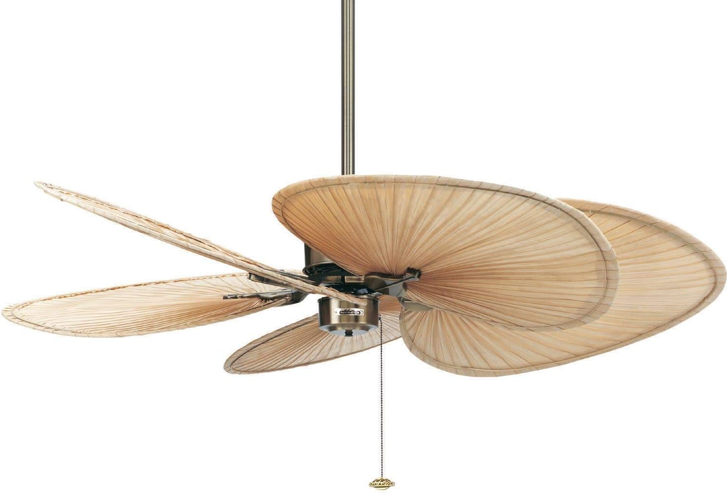 Fanimation FP320AB1P1 Islander 52" 5 Blade Indoor Ceiling Fan