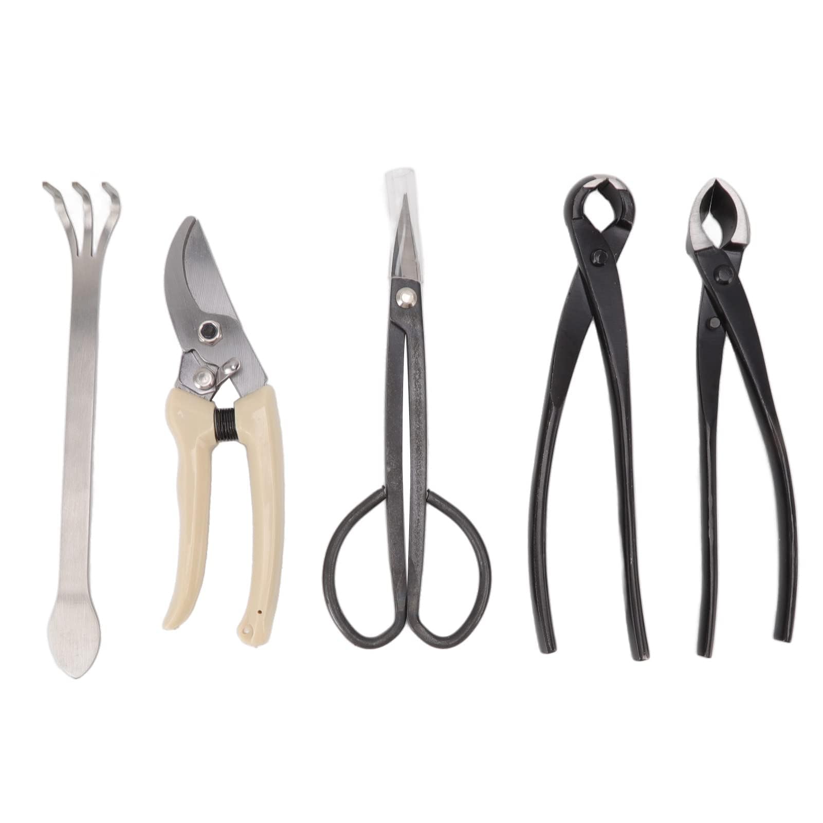 5 Pièces Ensemble D'Outils de Bonsaï, Ensemble D'Outils de Jardinage Succulents en Acier Au Carbone avec Poignée Ergonomique, Ciseaux À Bonsaï Professionnels Râteau Coupe Branches Sécateurs