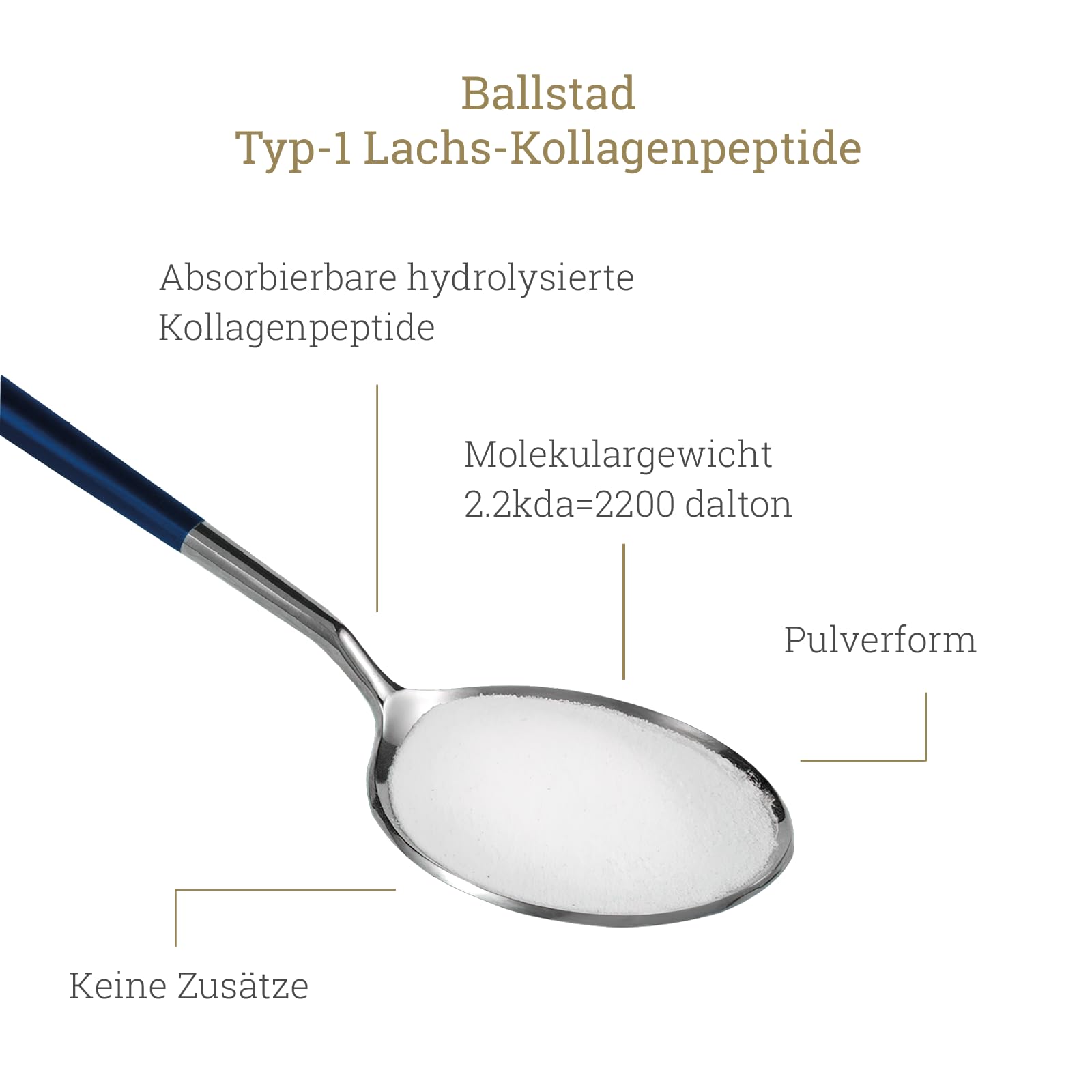 Reine Norwegische Lachs-Kollagenpeptide 160g - Lachs Kollagenpulver ohne Zusatzstoffe, ideal zum Einrühren in Getränke & Suppen. Made in Norway. Nachfüllpackung für 1 Monat