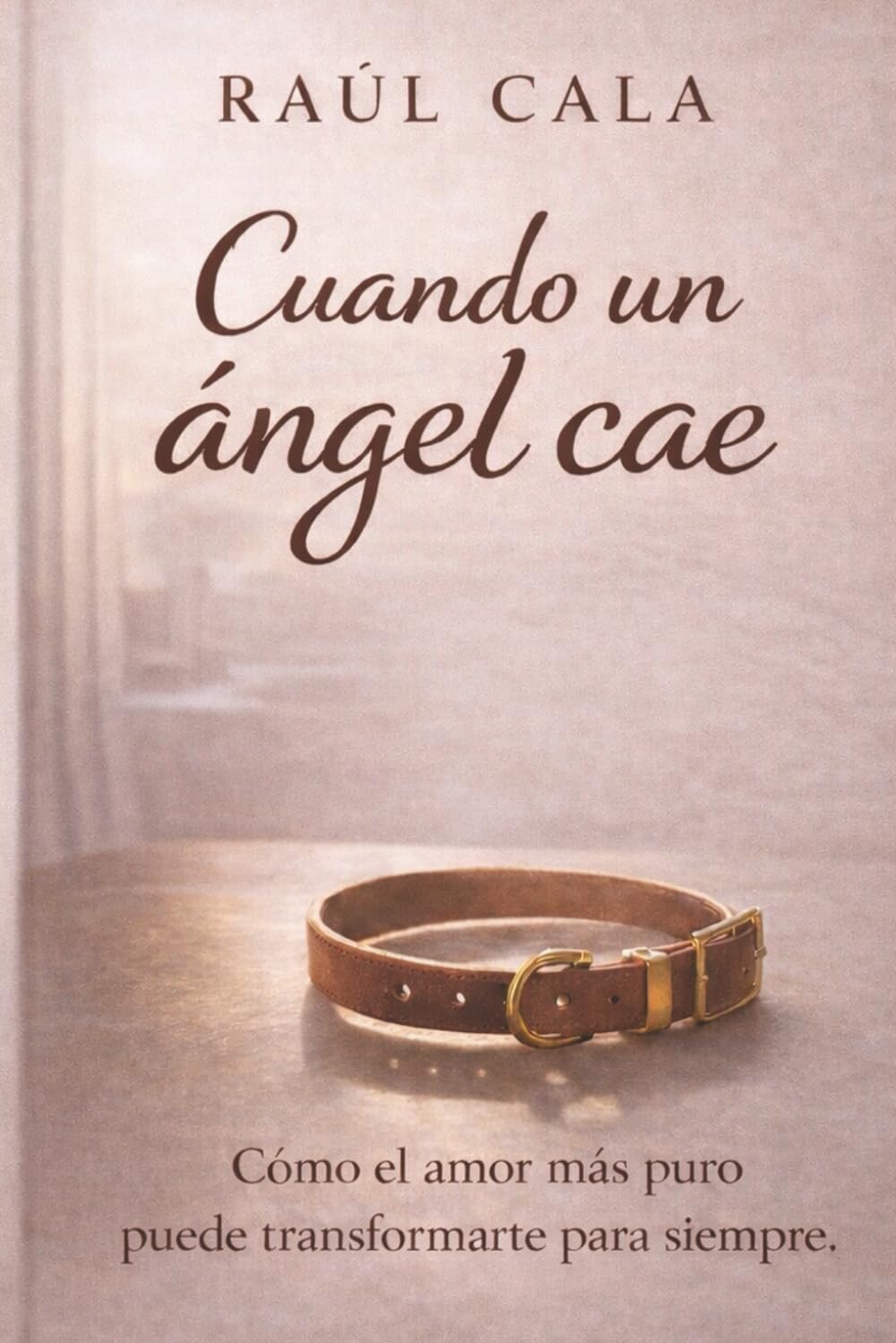 Cuando un ángel cae: Cómo el amor más puro puede transformarte para siempre