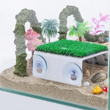 DQITJ 1 Pack Hermit Crab Ramp Toys Simulation Grass Hermit Crab Ramp Climbing Ladder with 1 Pack Ceramic Food Dish for Hermit Crab Habitat